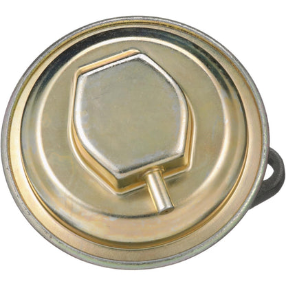 Standard Ignition Exhaust Gas Recirculation (EGR) Valve EGV429