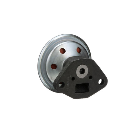 Standard Ignition Exhaust Gas Recirculation (EGR) Valve EGV704