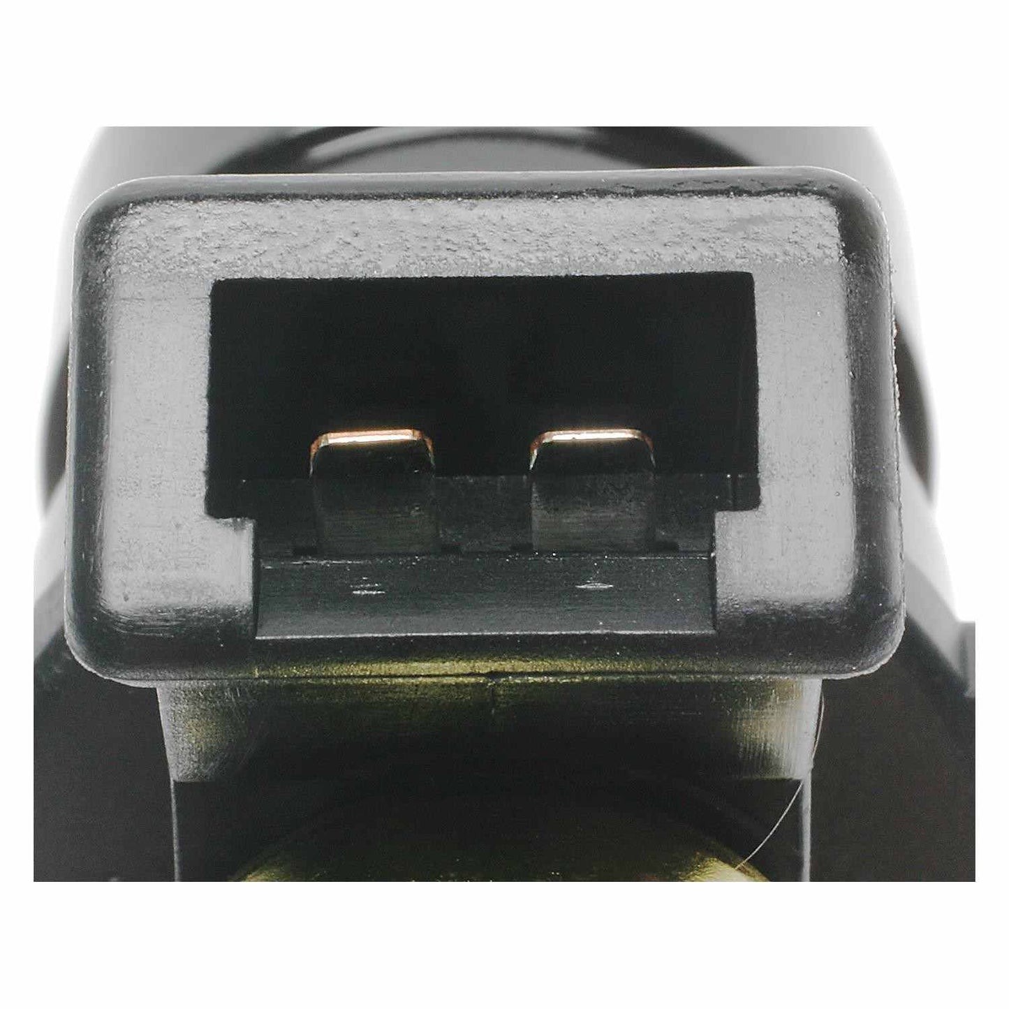 Standard Ignition Fuel Injector FJ119