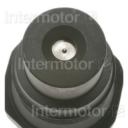 Standard Ignition Fuel Injector FJ173