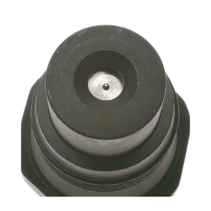 Standard Ignition Fuel Injector FJ173