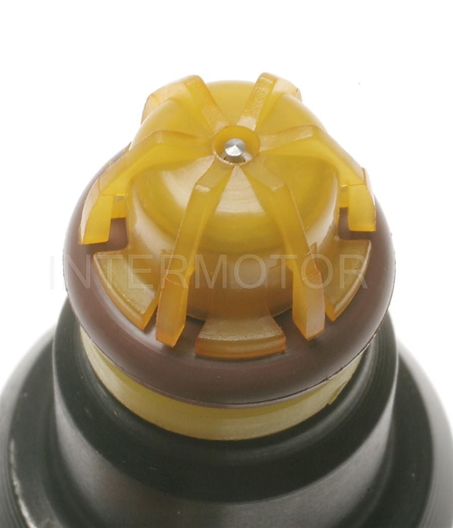 Intermotor Fuel Injector FJ29