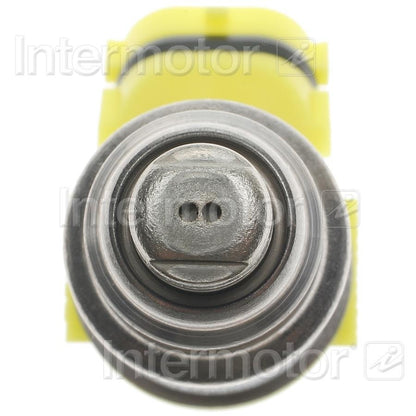 Intermotor Fuel Injector FJ334