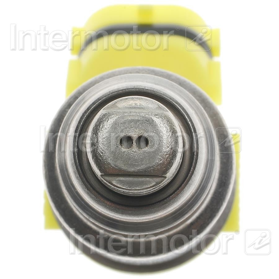Intermotor Fuel Injector FJ334