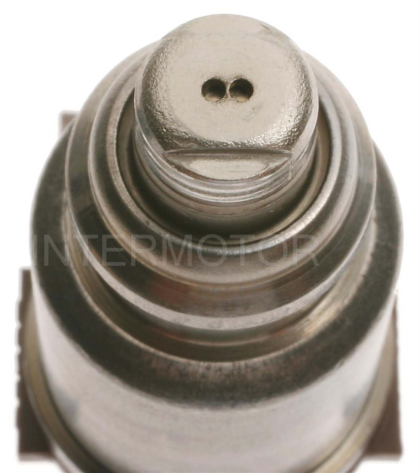 Intermotor Fuel Injector FJ389