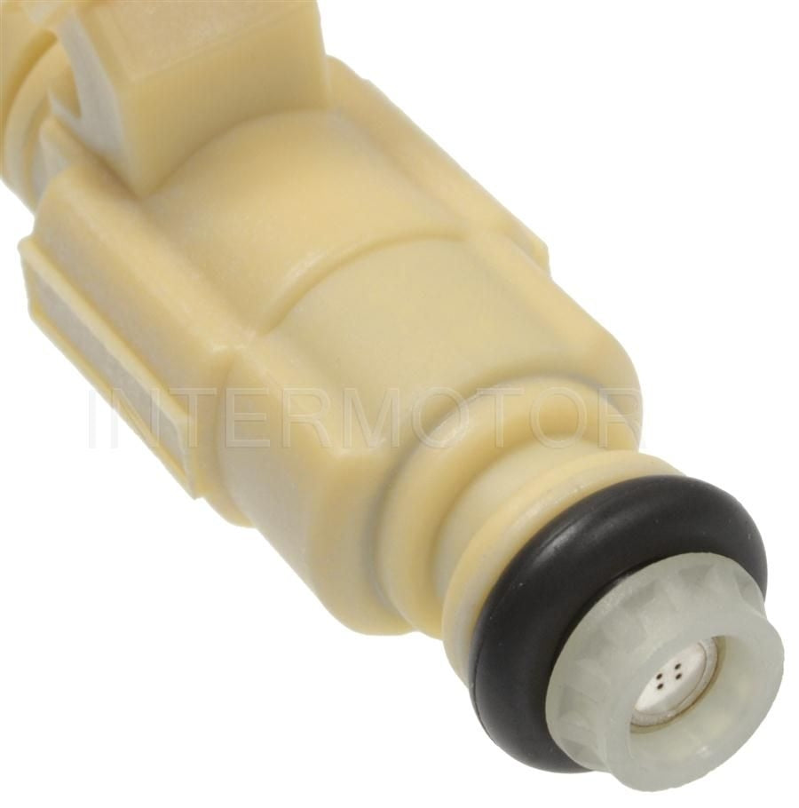 Intermotor Fuel Injector FJ493