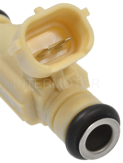 Intermotor Fuel Injector FJ493