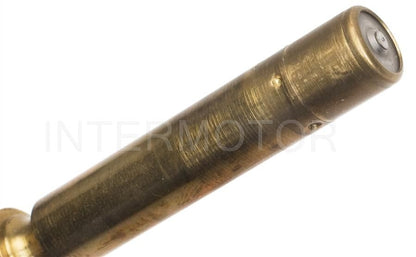 Intermotor Fuel Injector FJ520