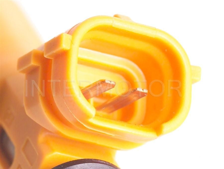 Intermotor Fuel Injector FJ662