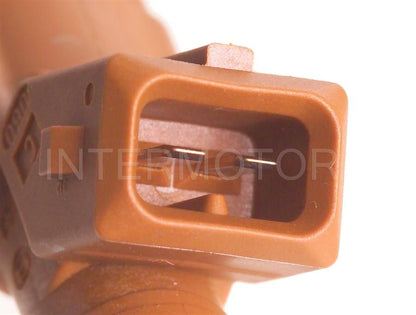 Intermotor Fuel Injector FJ669