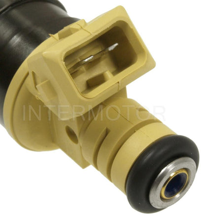 Intermotor Fuel Injector FJ695