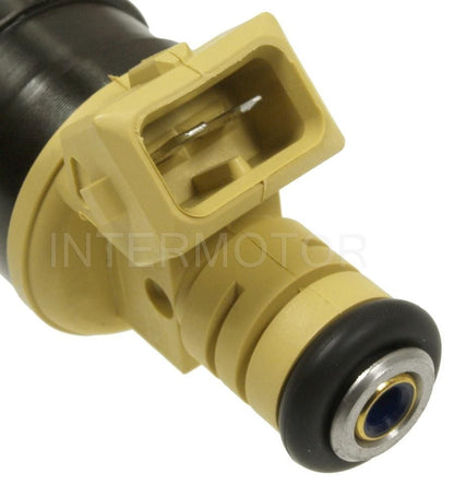 Intermotor Fuel Injector FJ695