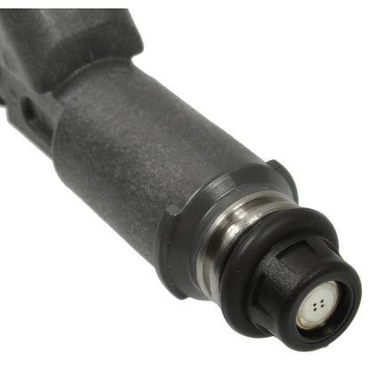 Standard Ignition Fuel Injector FJ816