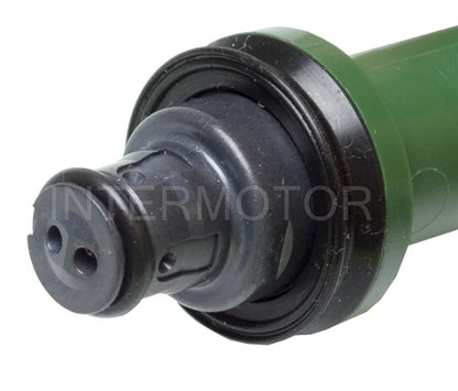 Intermotor Fuel Injector FJ946
