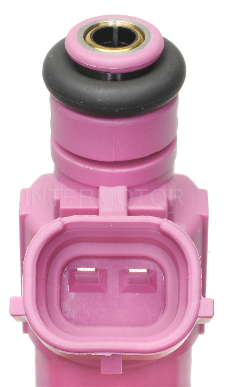 Intermotor Fuel Injector FJ989