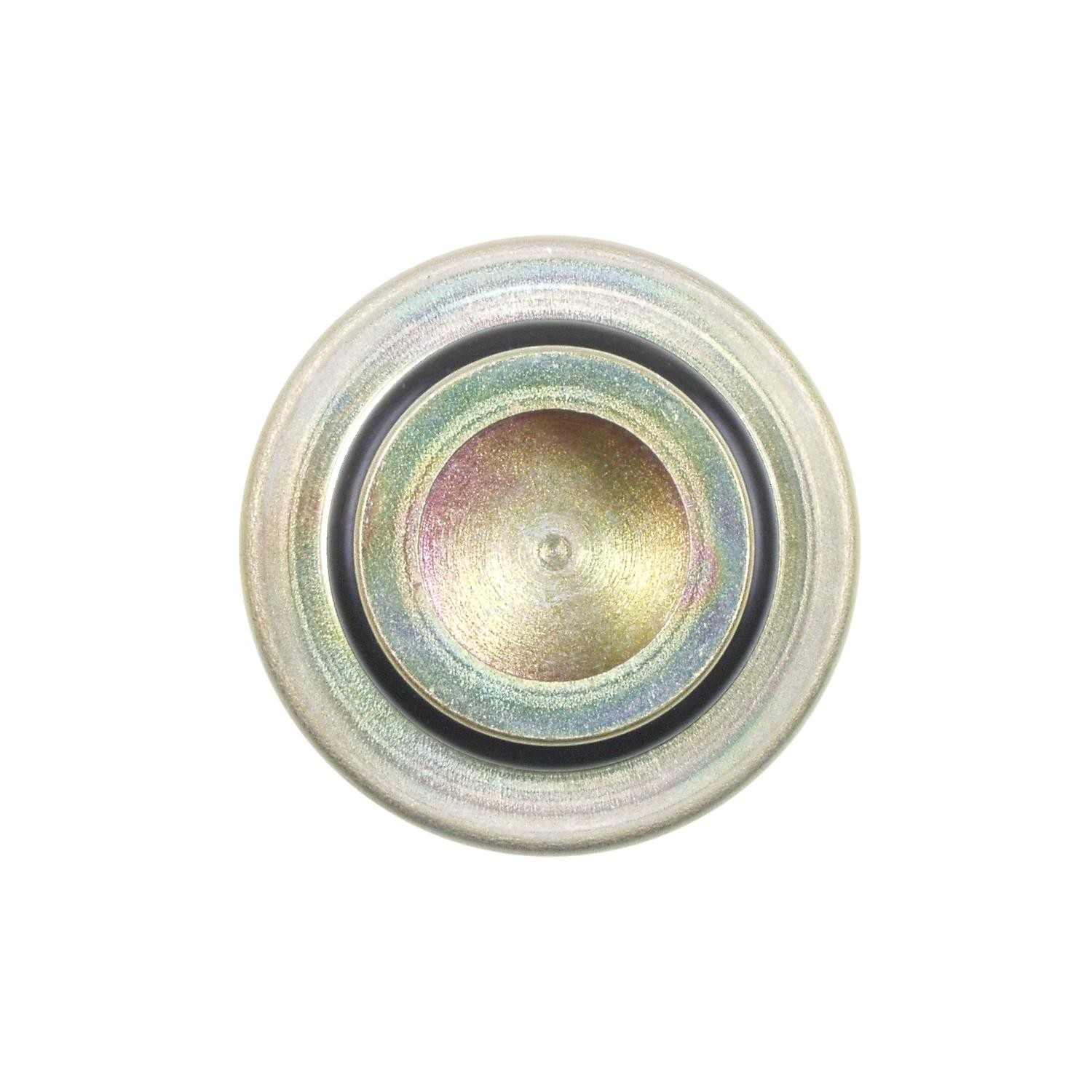 Intermotor Fuel Injection Pressure Damper FPD16