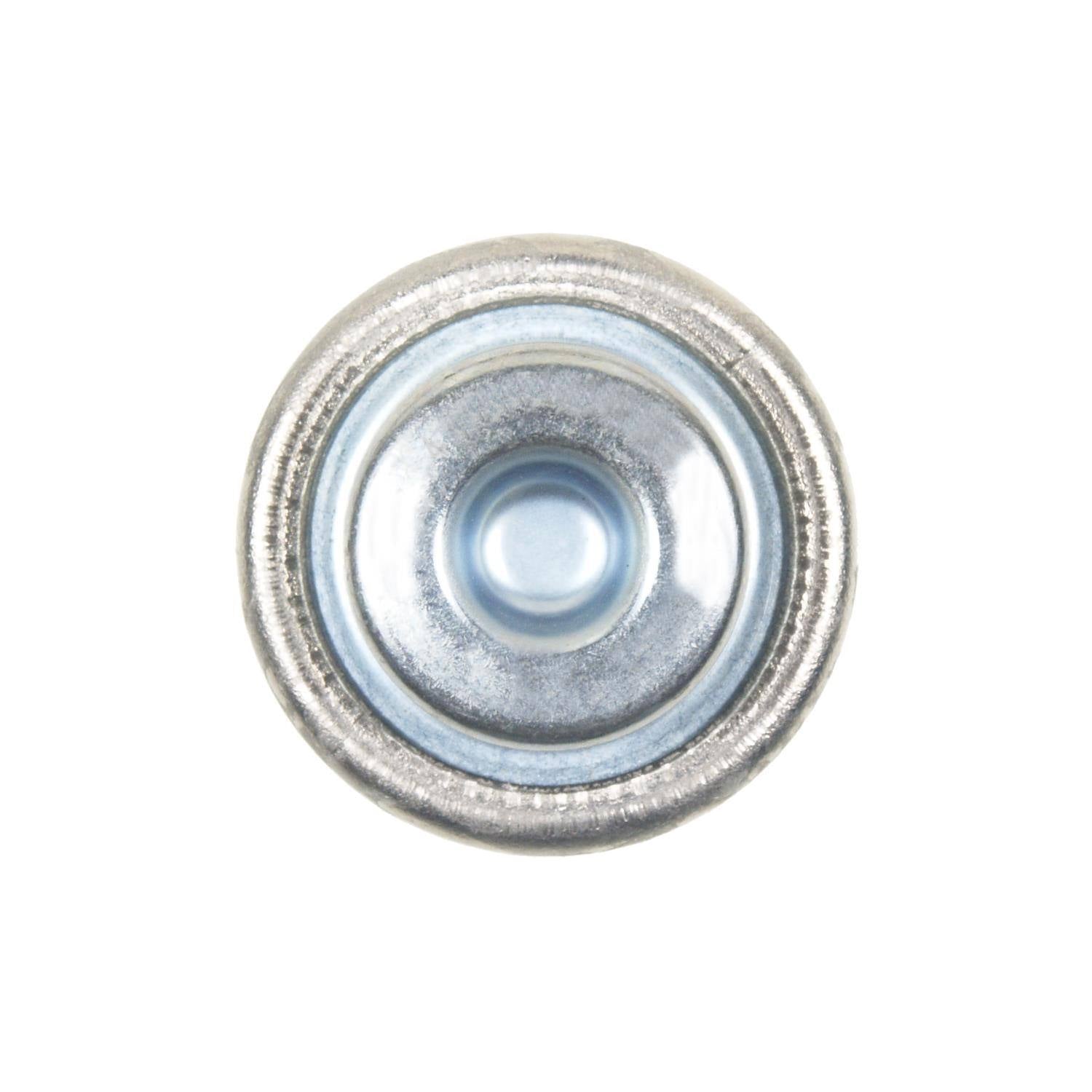Standard Ignition Fuel Injection Pressure Damper FPD30