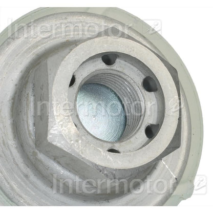 Intermotor Fuel Injection Pressure Damper FPD61