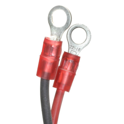 Intermotor Ignition Conversion Kit LX-806