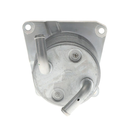 Intermotor Engine Oil Cooler OCK100