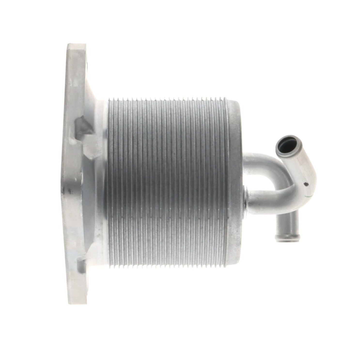 Intermotor Engine Oil Cooler OCK100