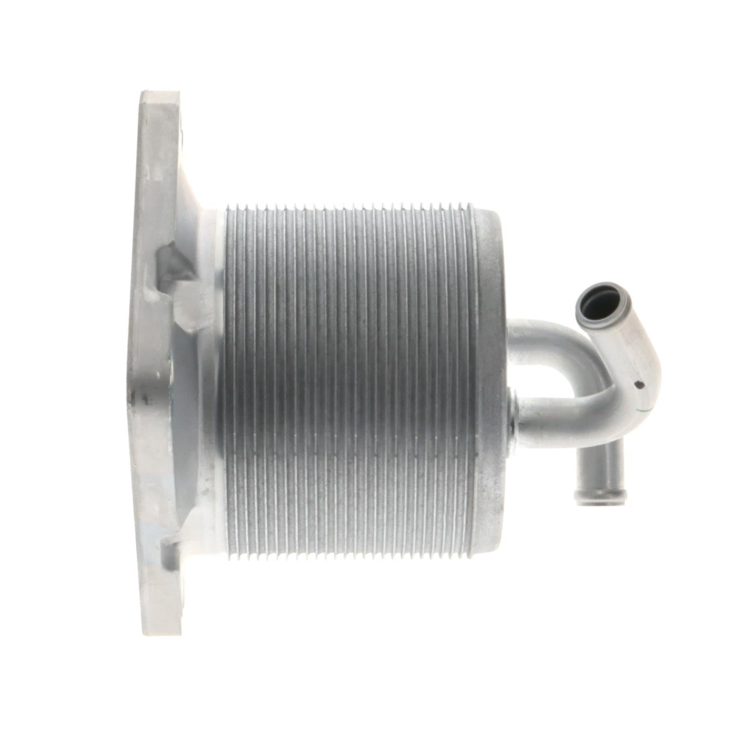 Intermotor Engine Oil Cooler OCK100