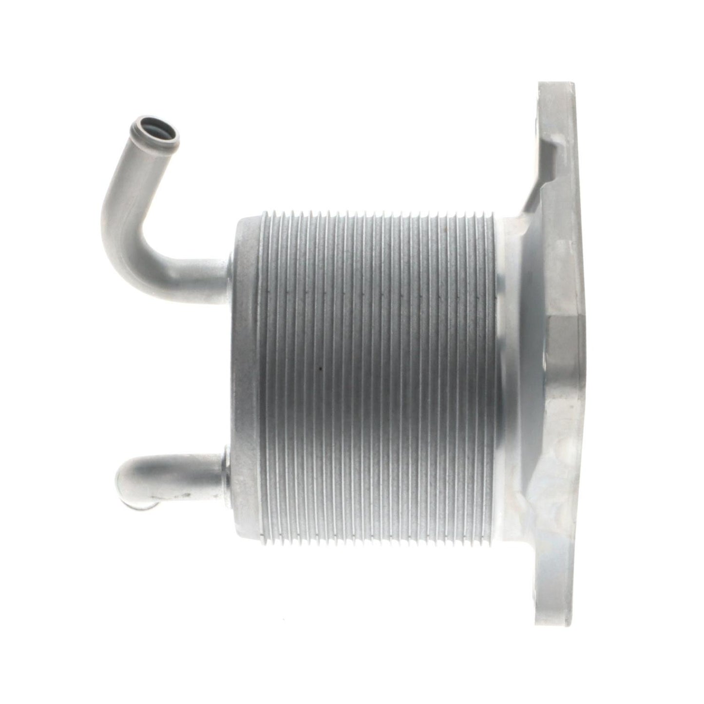 Intermotor Engine Oil Cooler OCK100