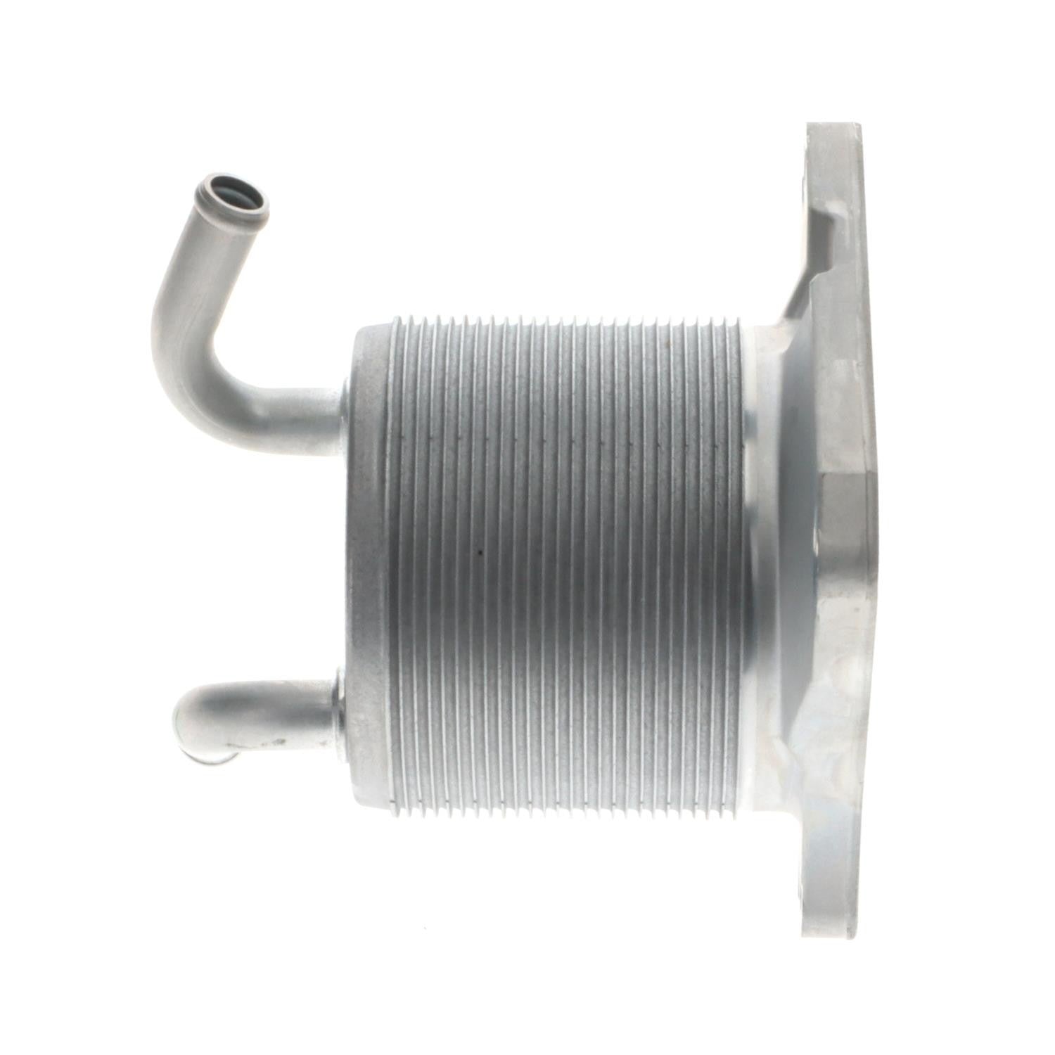 Intermotor Engine Oil Cooler OCK100