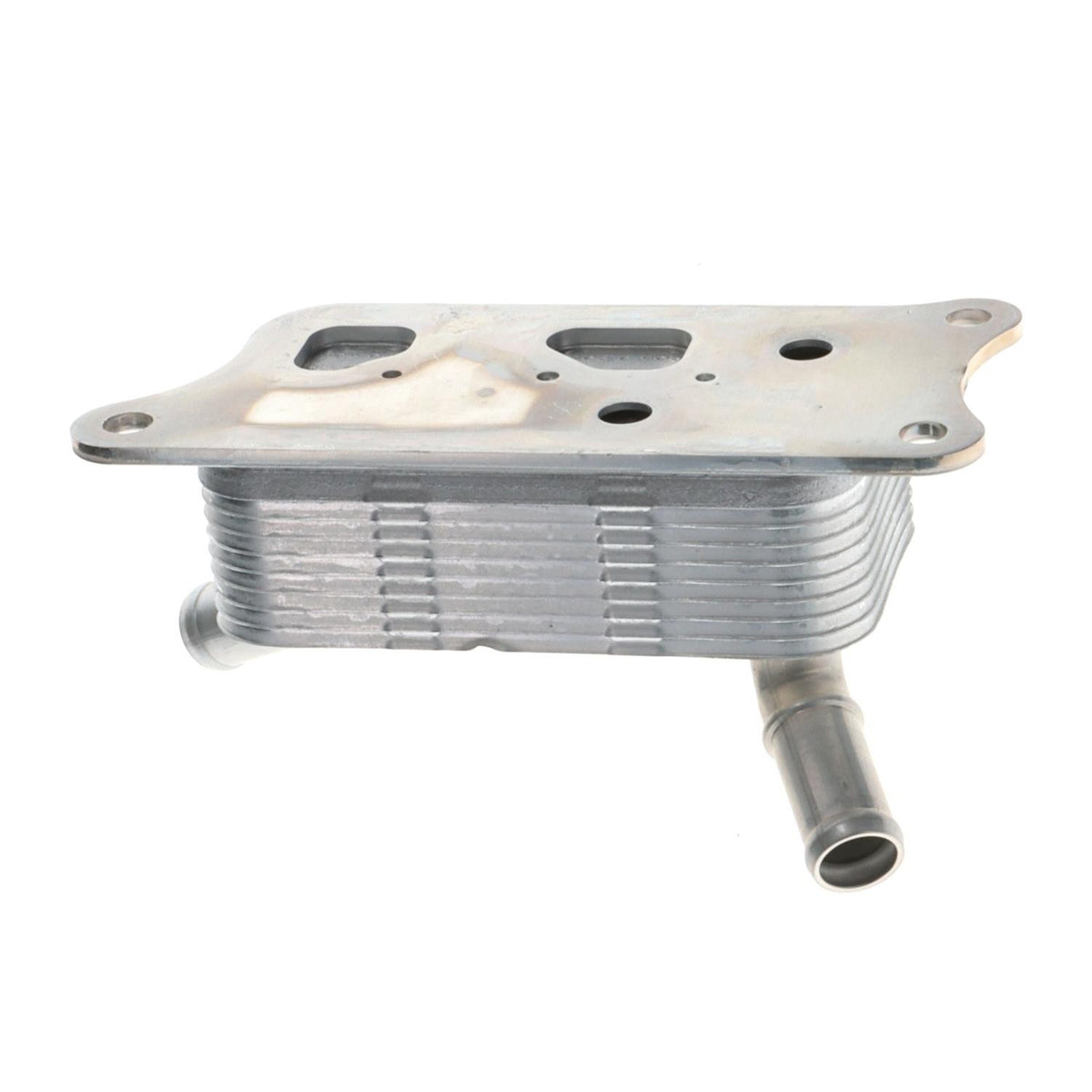 Intermotor Engine Oil Cooler OCK99