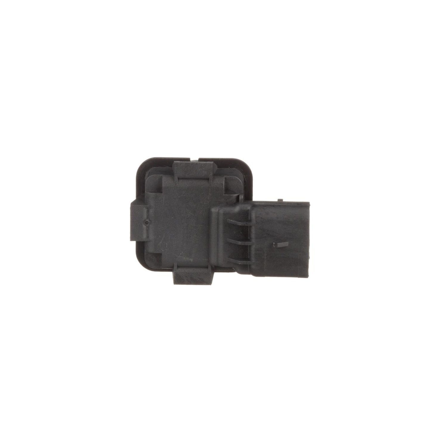 Standard Ignition Park Assist Camera PAC111