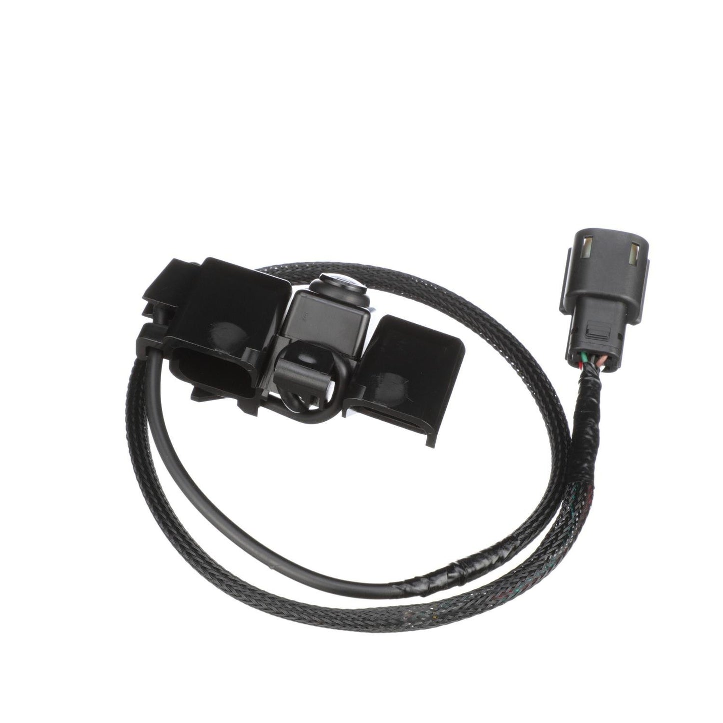 Standard Ignition Park Assist Camera PAC117