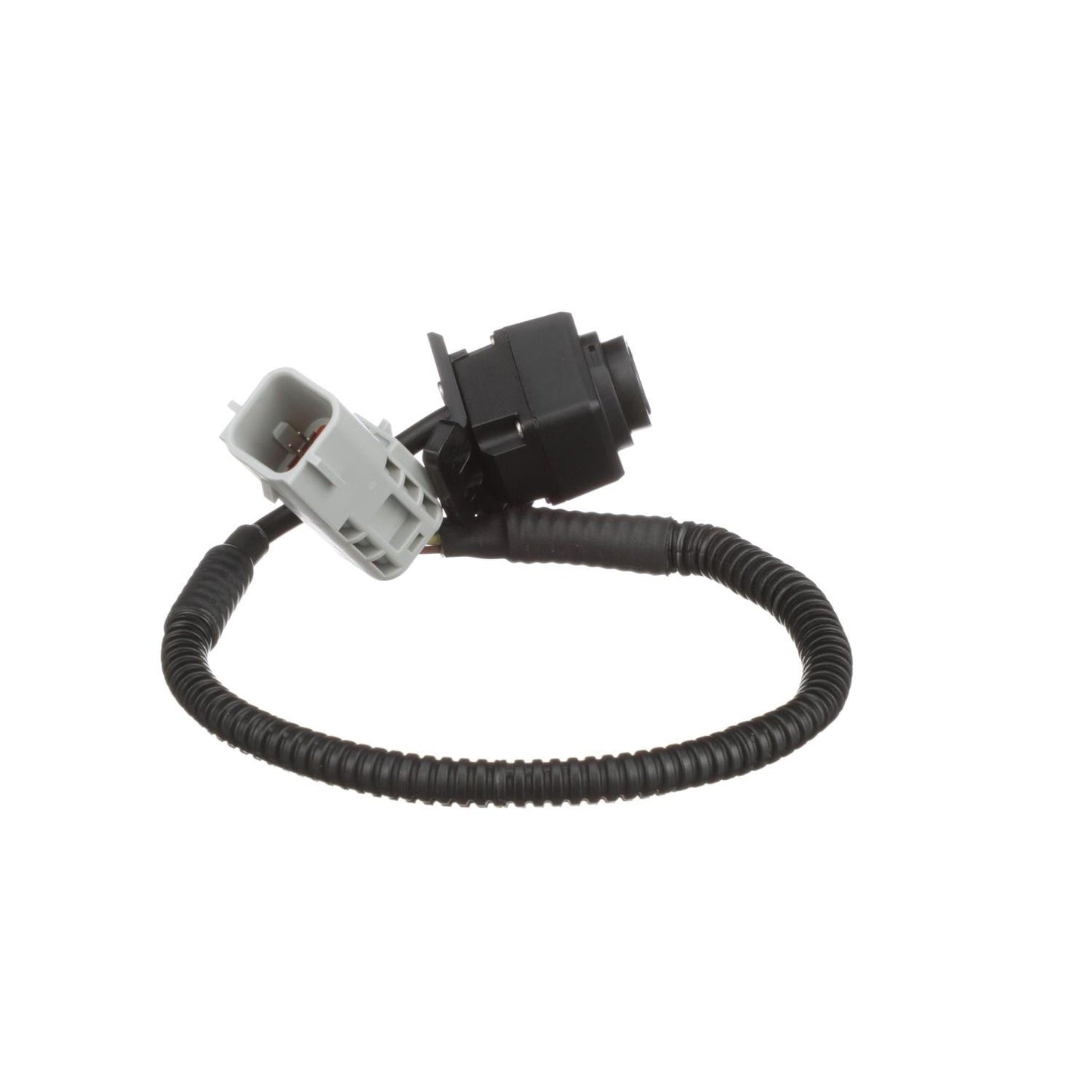 Standard Ignition Park Assist Camera PAC123