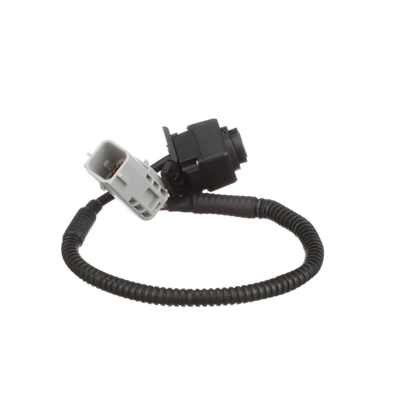 Standard Ignition Park Assist Camera PAC123