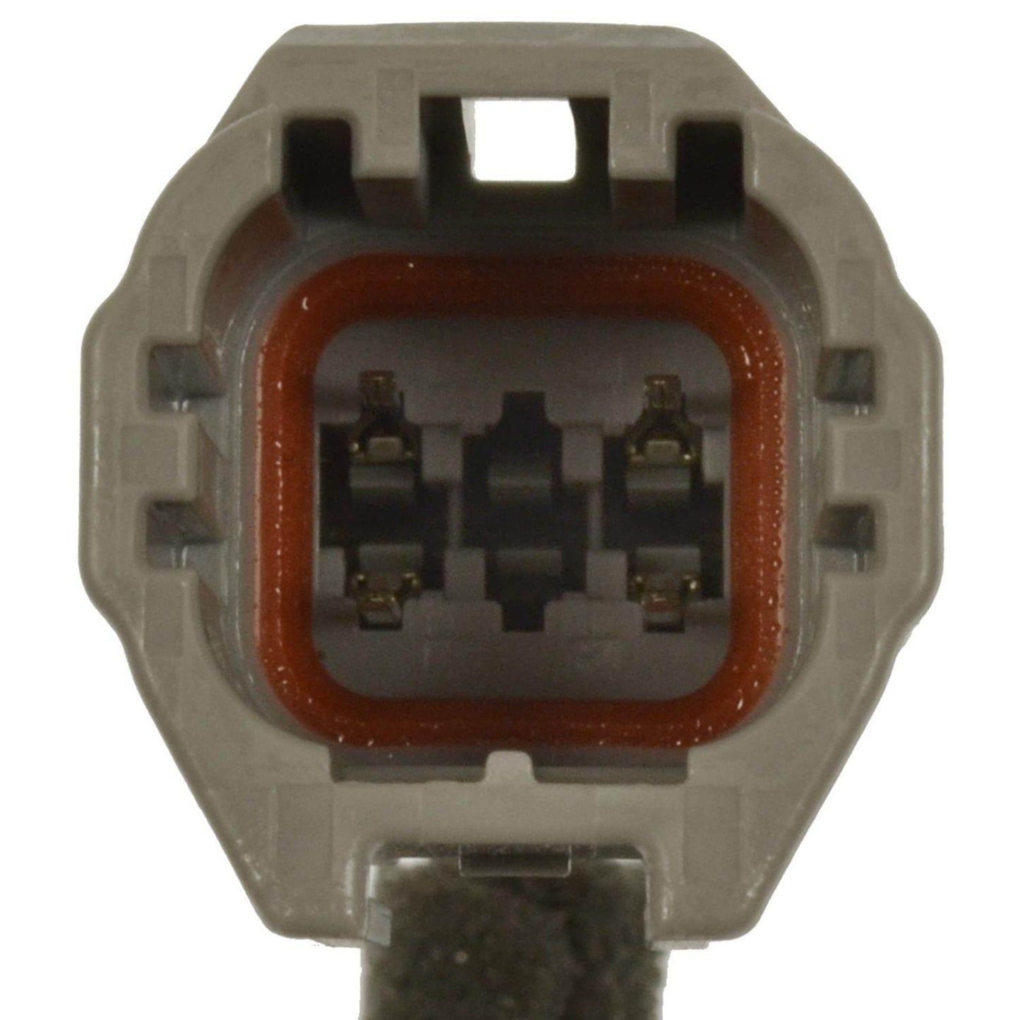 Intermotor Park Assist Camera PAC14