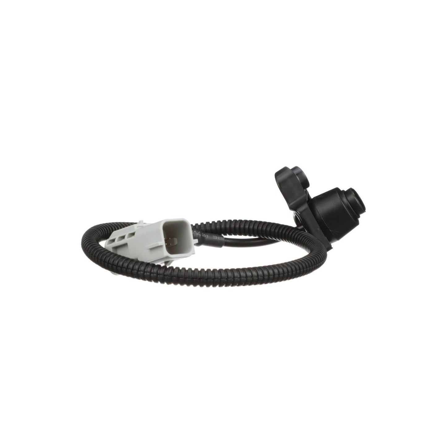Standard Ignition Park Assist Camera PAC181