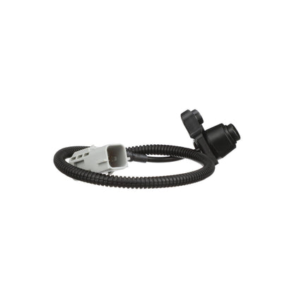 Standard Ignition Park Assist Camera PAC181