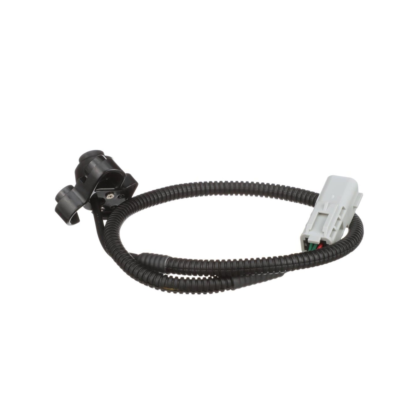 Standard Ignition Park Assist Camera PAC181