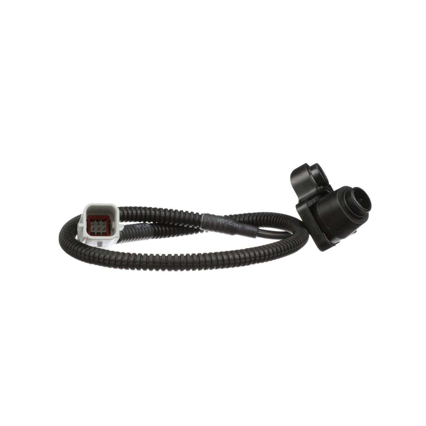 Standard Ignition Park Assist Camera PAC181