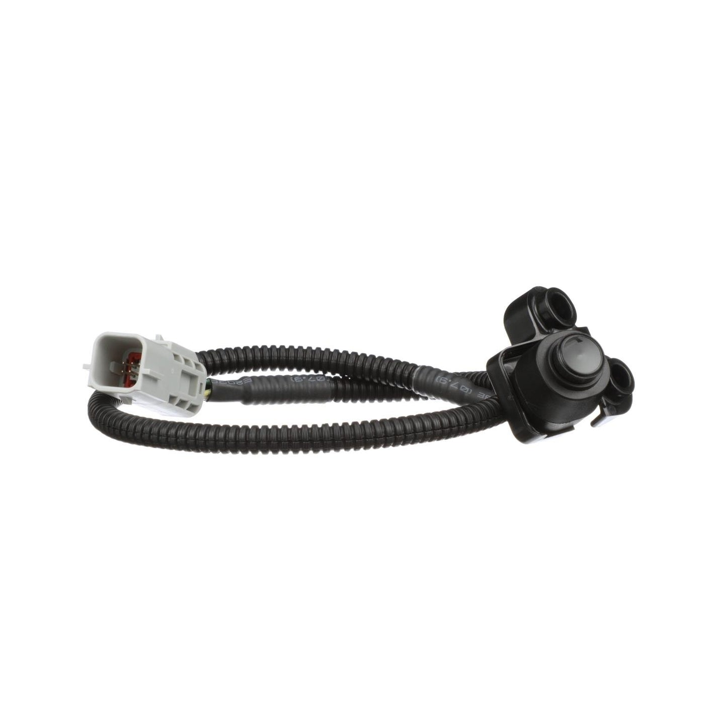 Standard Ignition Park Assist Camera PAC181