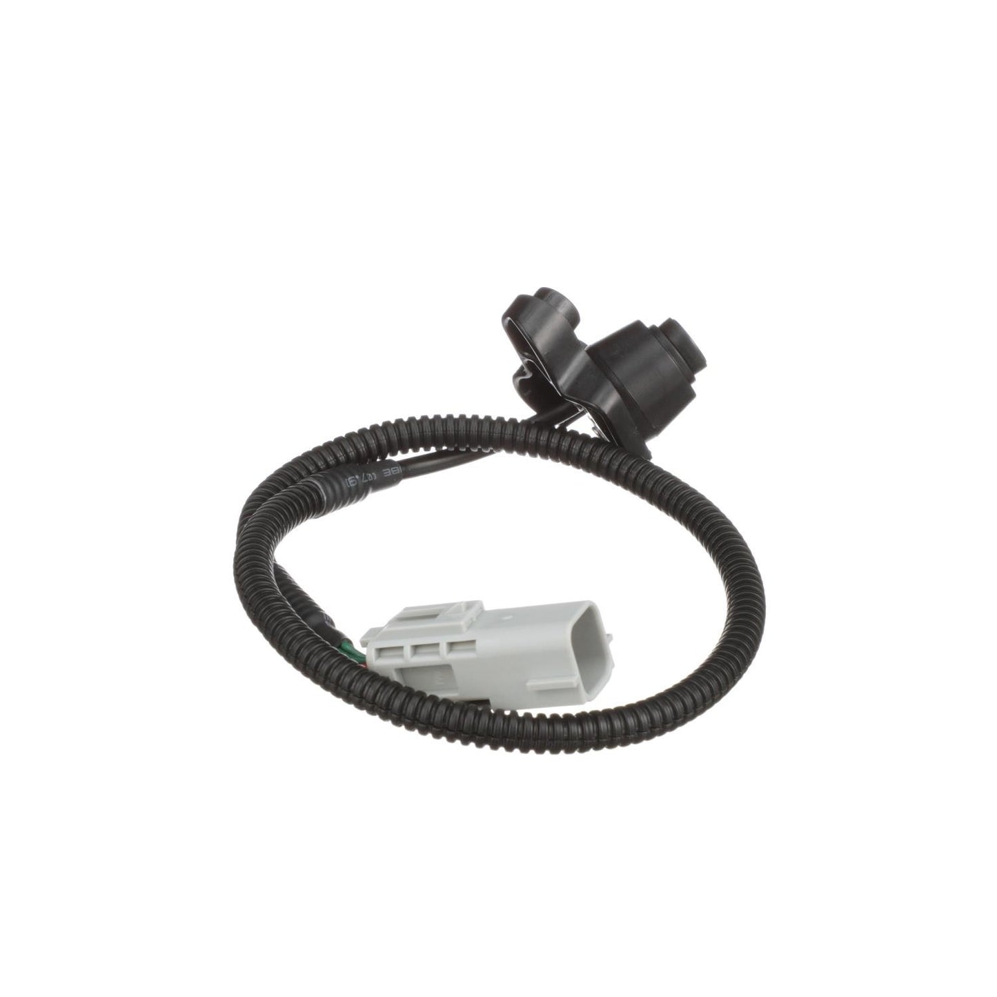 Standard Ignition Park Assist Camera PAC181