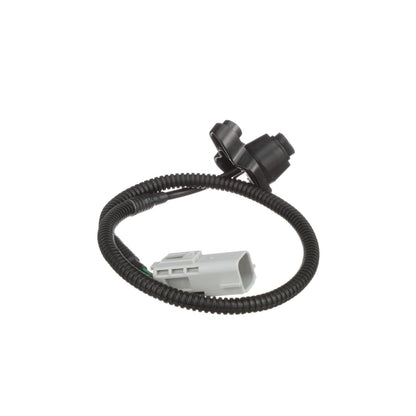 Standard Ignition Park Assist Camera PAC181