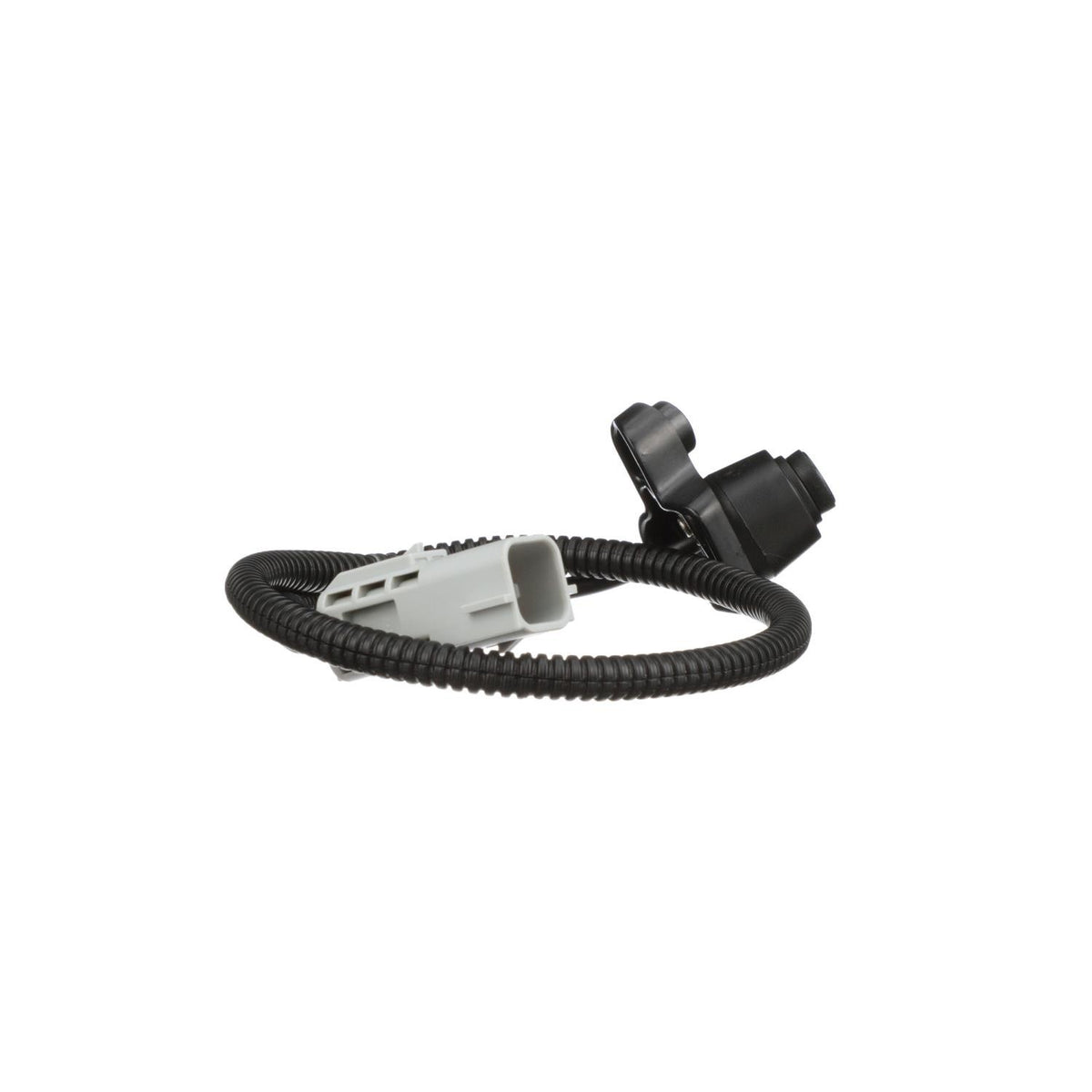 Standard Ignition Park Assist Camera PAC181