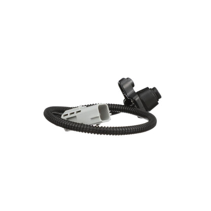 Standard Ignition Park Assist Camera PAC181