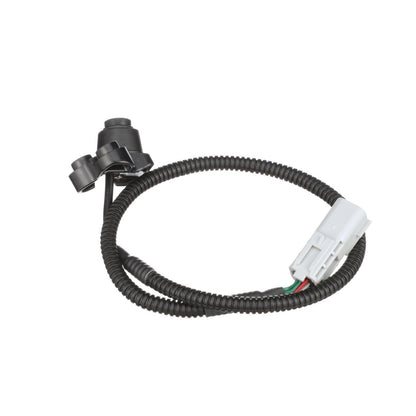 Standard Ignition Park Assist Camera PAC181