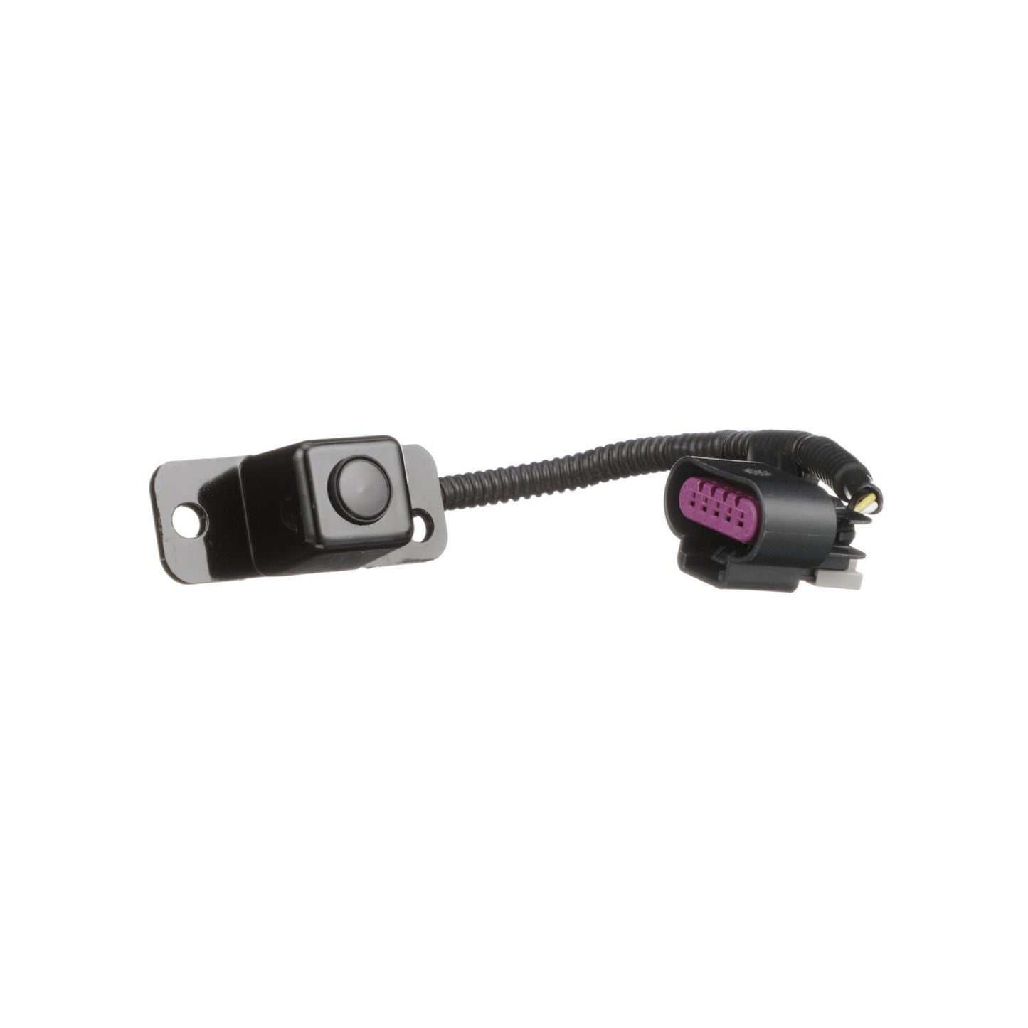 Standard Ignition Park Assist Camera PAC185
