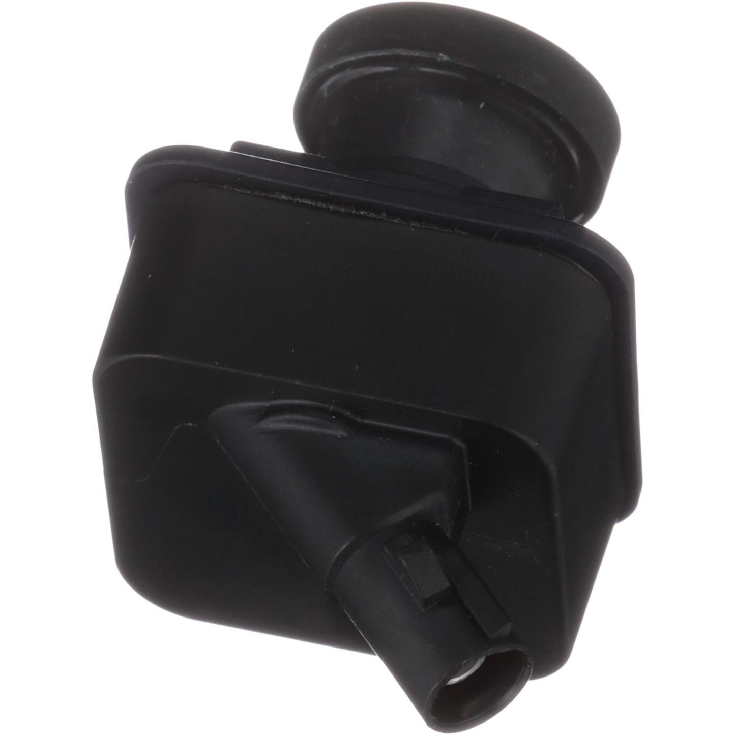 Standard Ignition Park Assist Camera PAC482