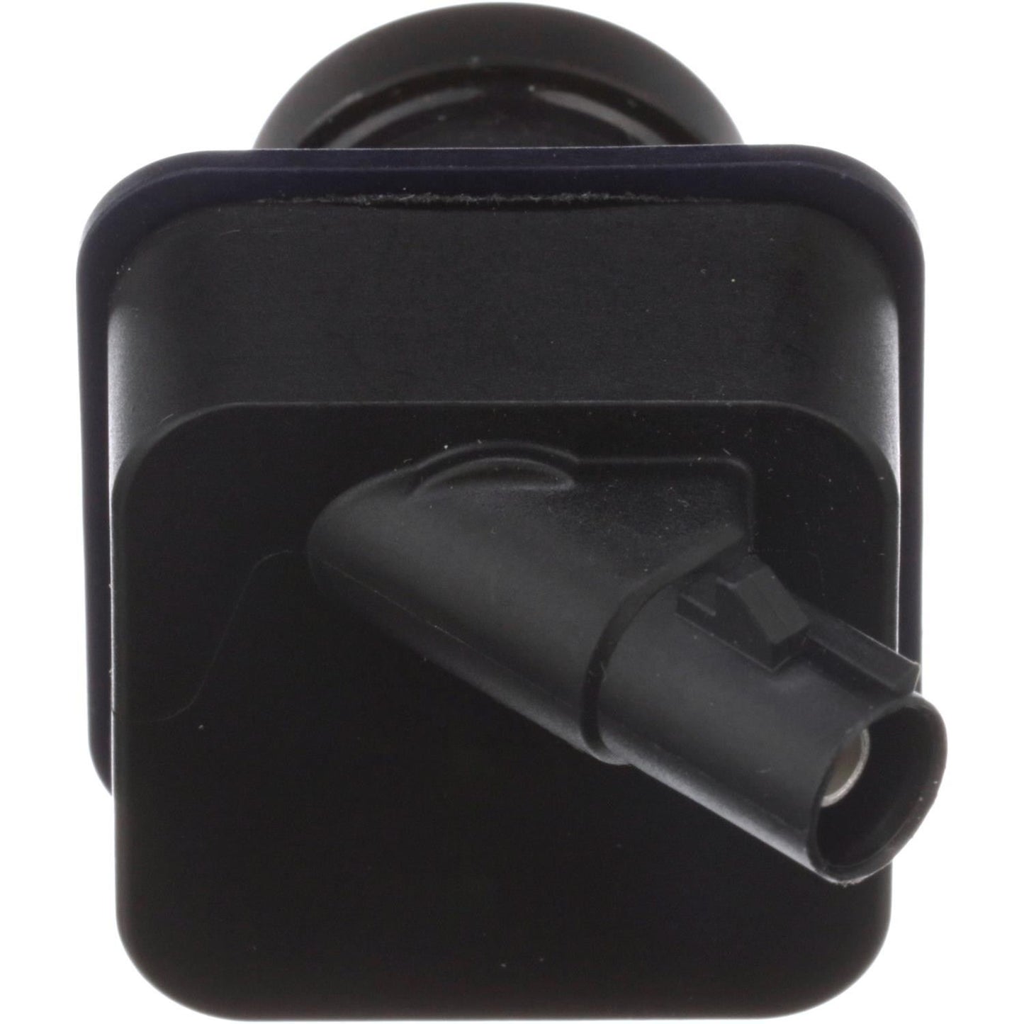 Standard Ignition Park Assist Camera PAC490