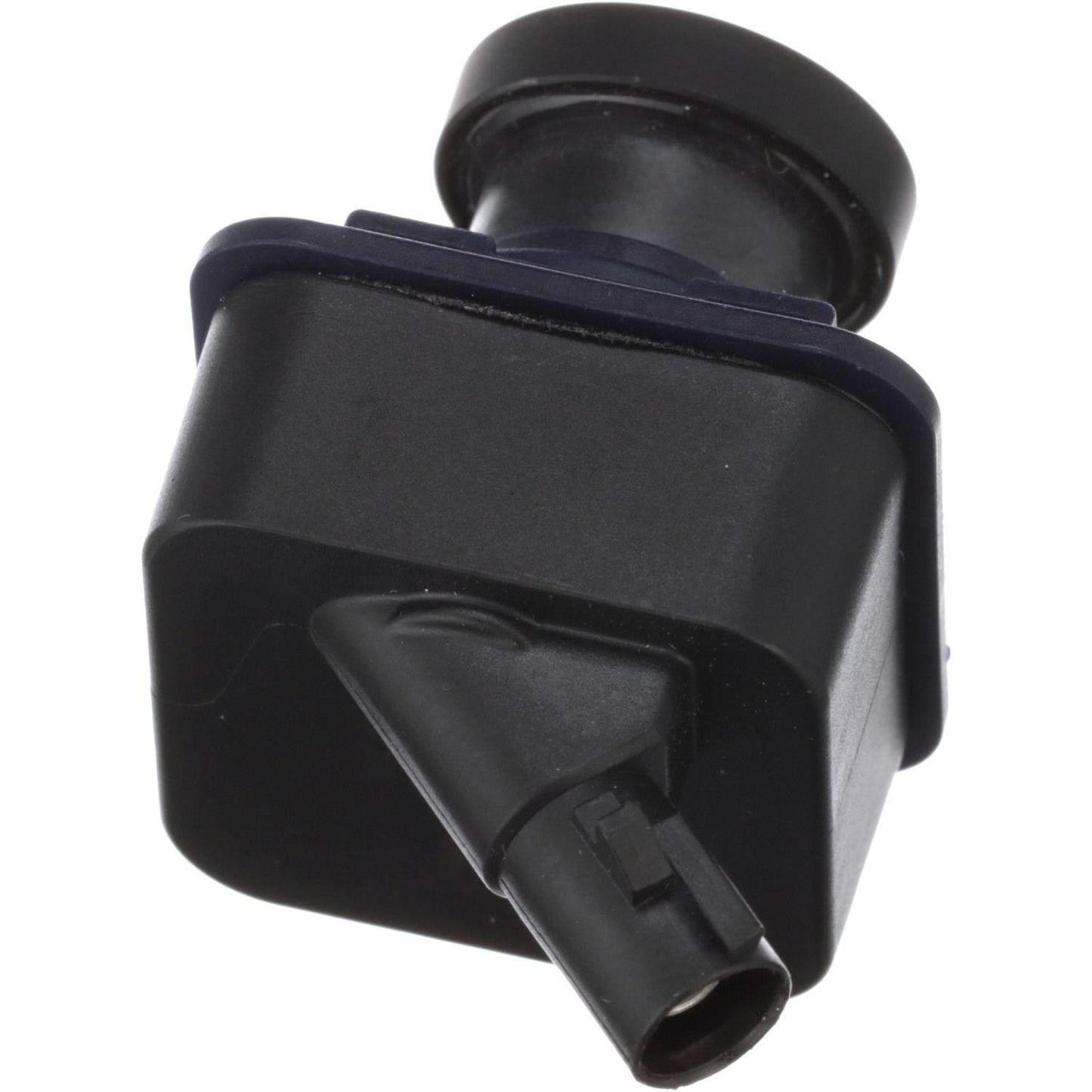 Standard Ignition Park Assist Camera PAC490