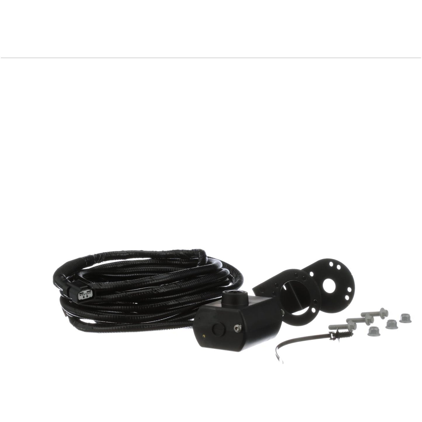 Standard Ignition Park Assist Camera PAC493