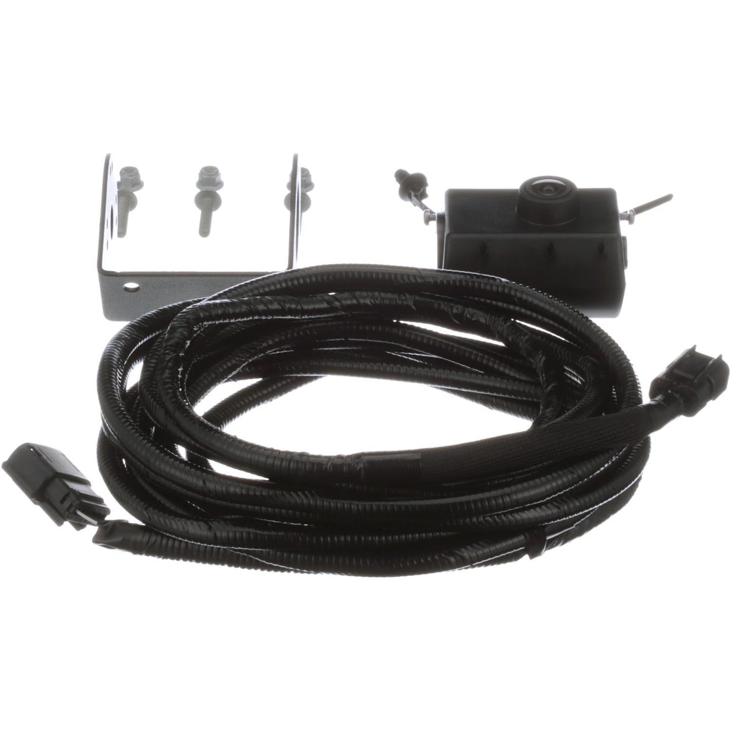 Standard Ignition Park Assist Camera PAC493